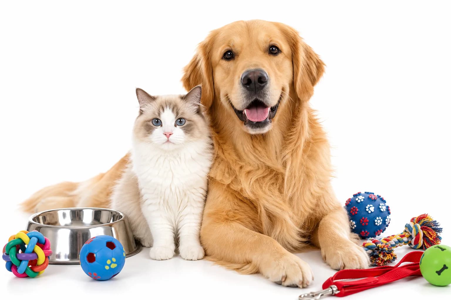 Happy pets with premium supplies